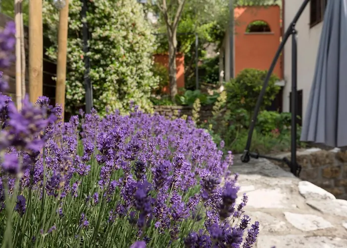 Komfort Apartma Ob Parenzani - Paremzana Confort *